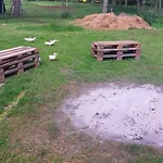 Der Maerchenhof Dithmarschen Epenwohrden