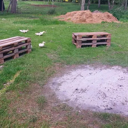 Der Maerchenhof Dithmarschen Epenwohrden